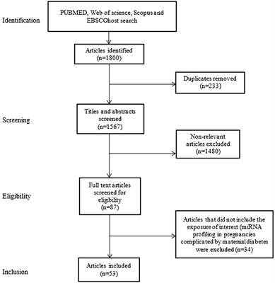 A Big Role for microRNAs in Gestational Diabetes Mellitus